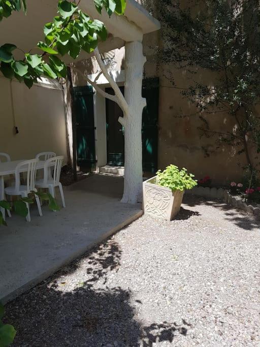 Sigean - Maison Domaine Viticole, 6 Km De La Mer Exterior foto